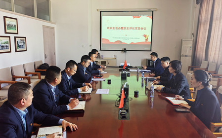 標(biāo)題：銷售黨支部召開(kāi)組織生活會(huì)暨民主評(píng)議黨員會(huì)議
瀏覽次數(shù)：655
發(fā)表時(shí)間：2025-02-26